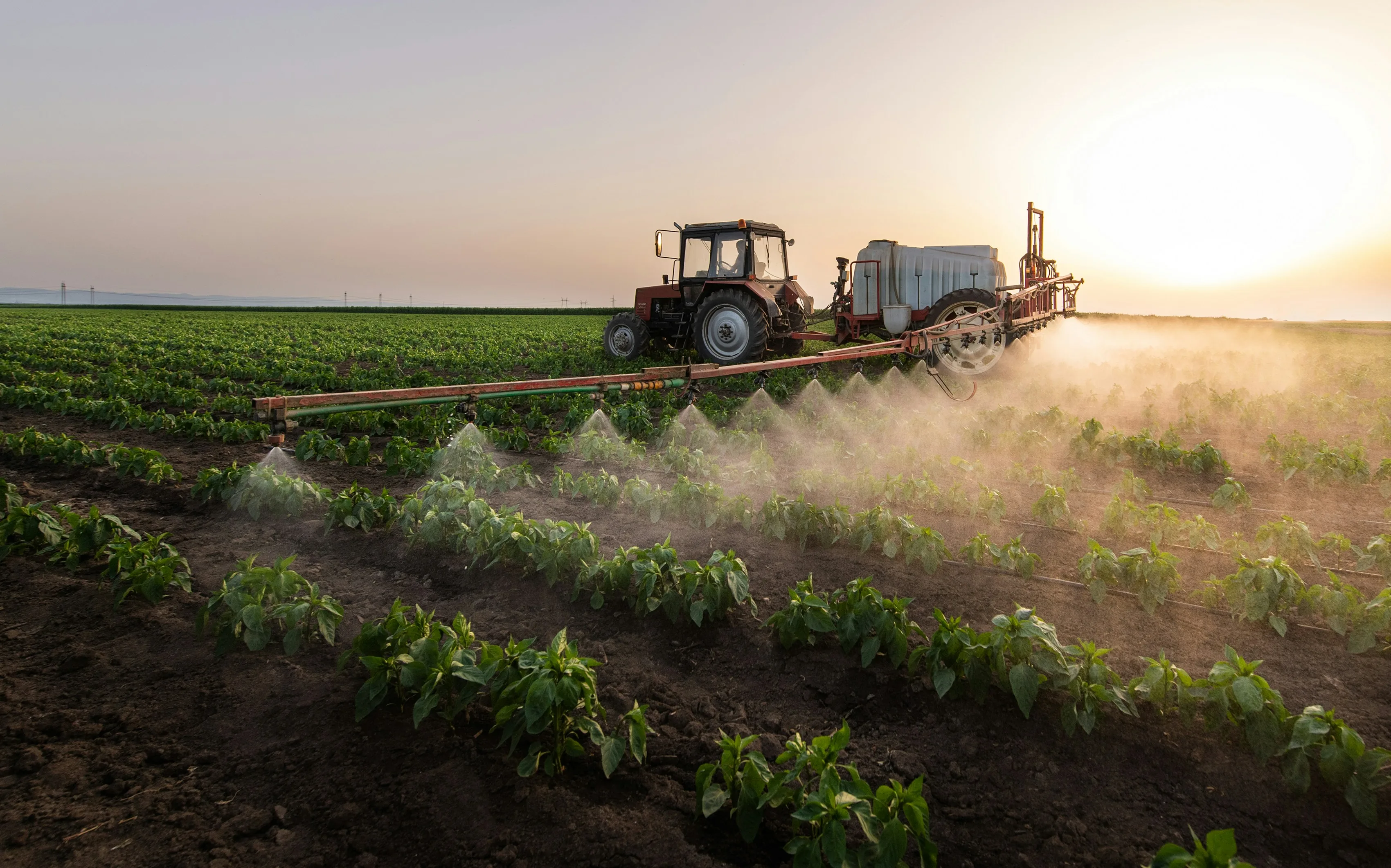 Tractor spraying a field at sunset