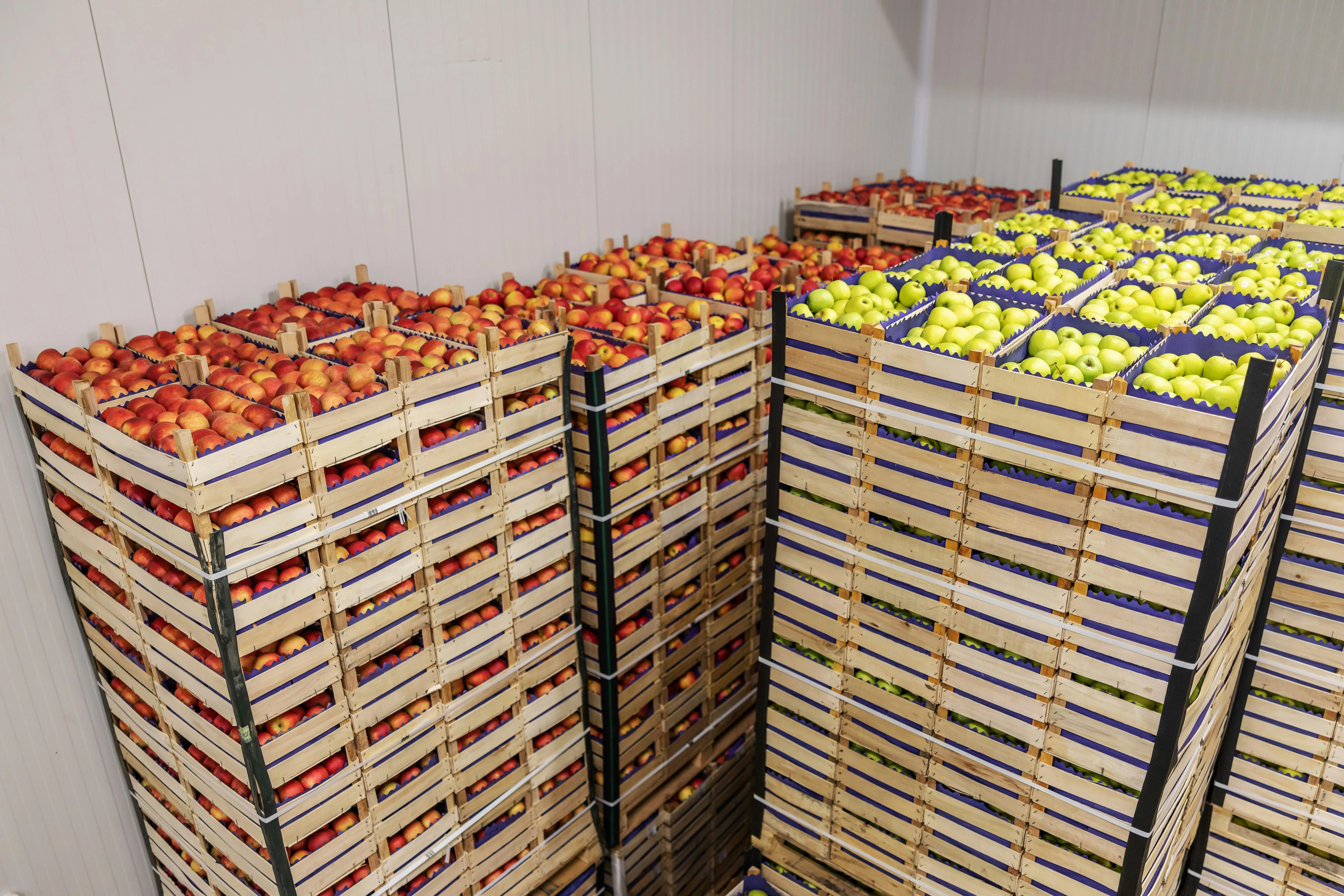 Stacked wooden crates of apples in a cold storage warehouse