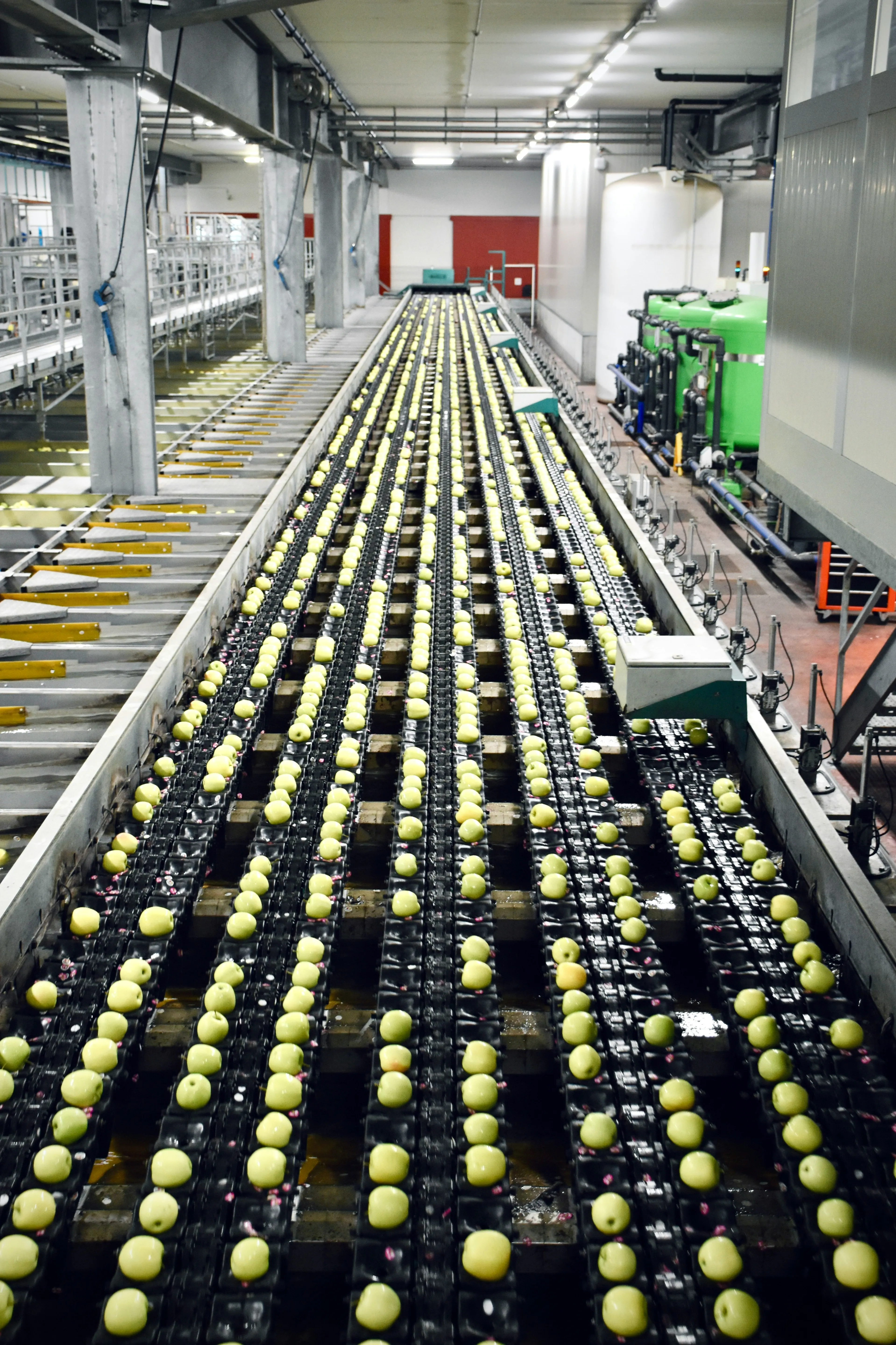 Warehouse interior with tall racking and inventory