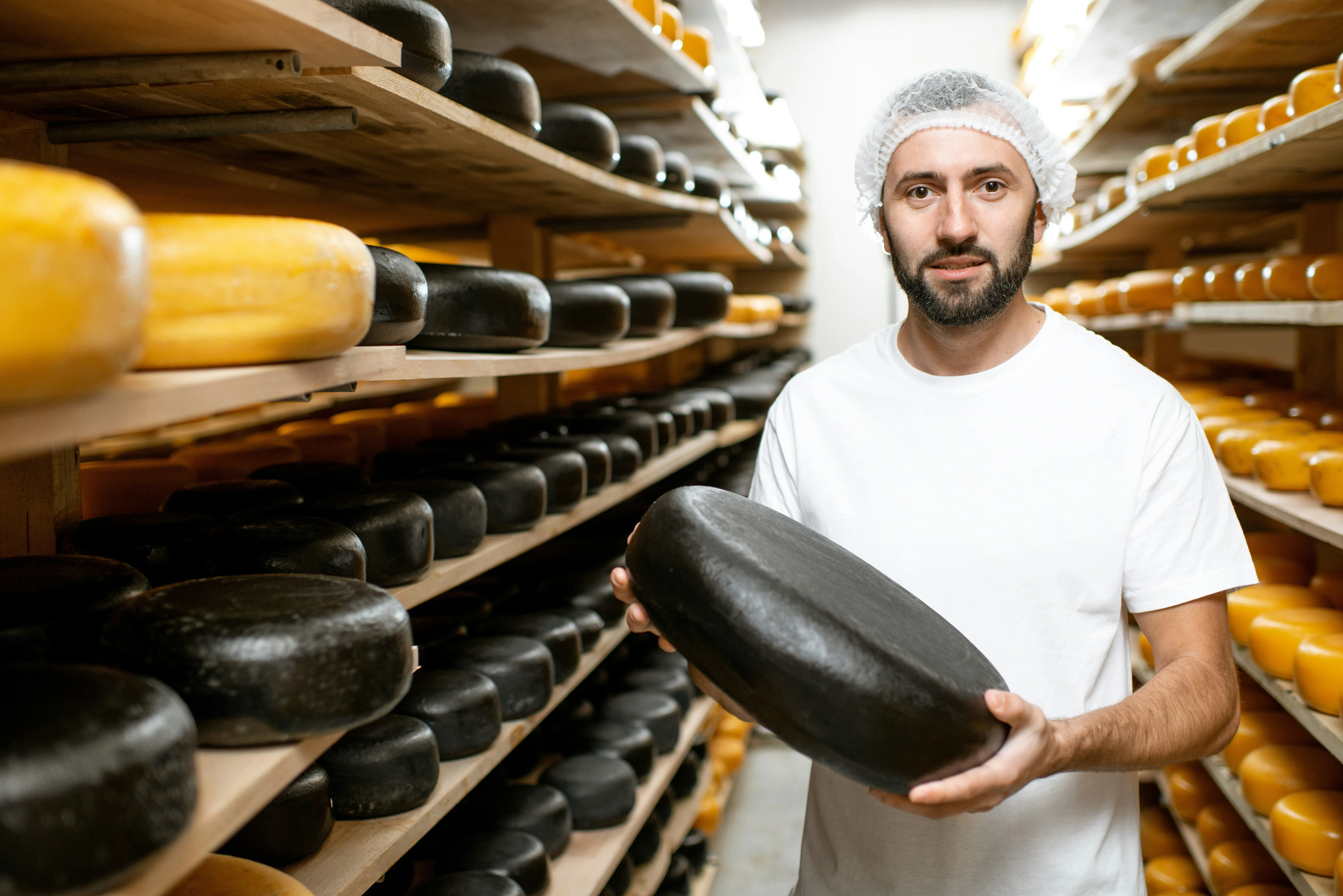 Cheesemaker in aging cellar with cheese wheels