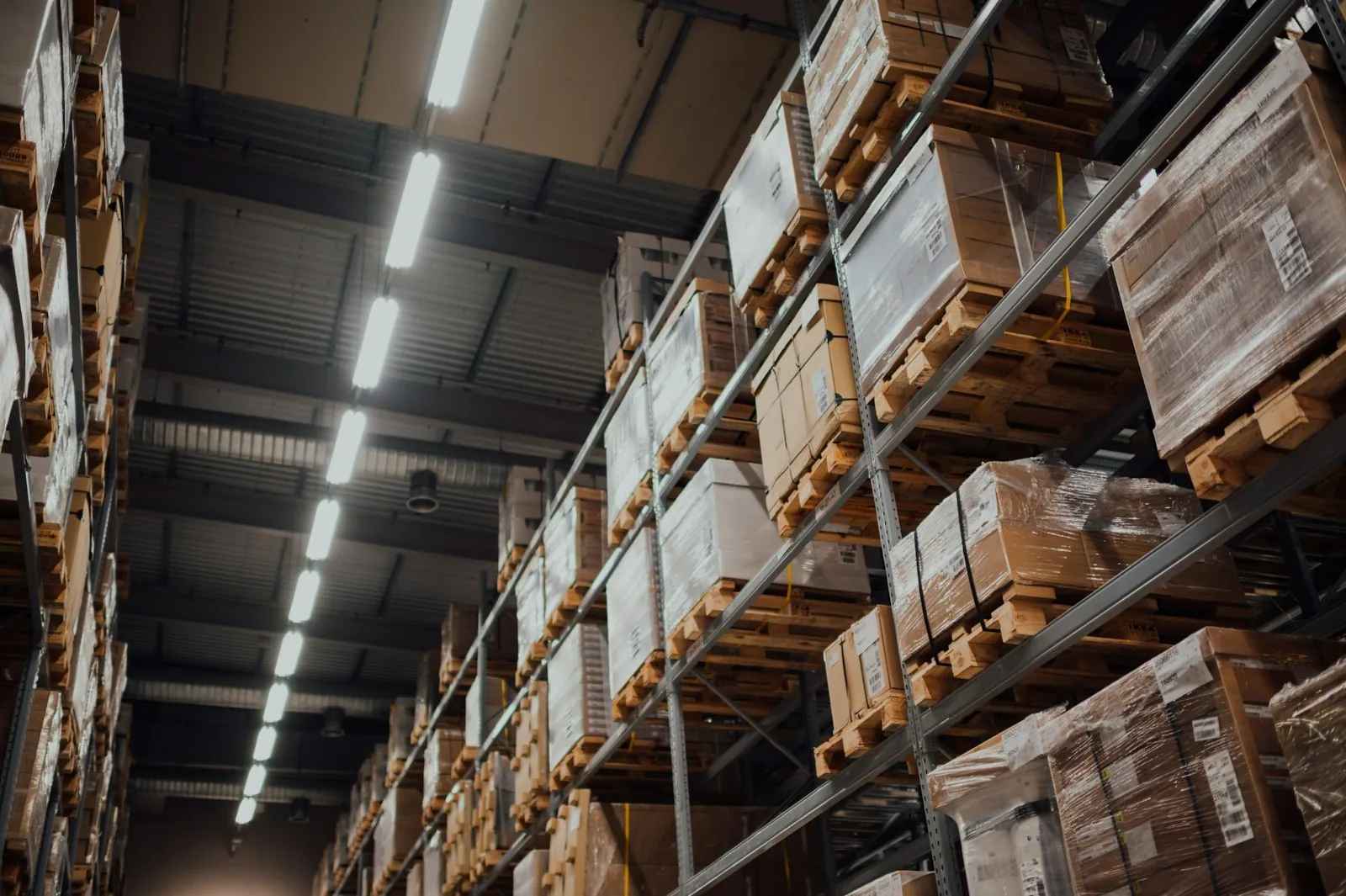 Warehouse team collaborating on operations